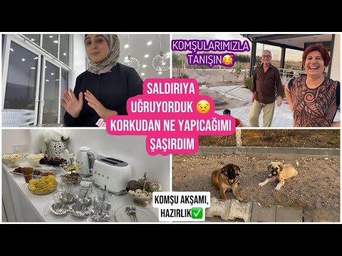 SALDIRIYA UĞRUYORDUK 😣 KORKUDAN NE YAPACAĞIMI ŞAŞIRDIM, KOMŞULARIMIZLA TANIŞIN, KÖPEK TUVALET EĞİTİM