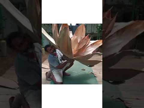 പാള ഉപയോഗിച്ച് ഇങ്ങനെയൊക്കെ ചെയ്യാൻ കഴിയുമോ