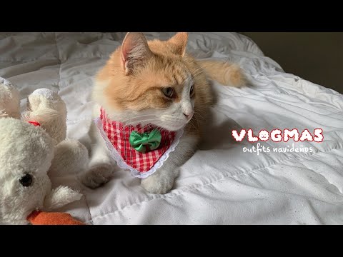 VLOG NAVIDEÑO #1 🎄❤️✨Haciéndole 4 disfraces para navidad a mi mascota