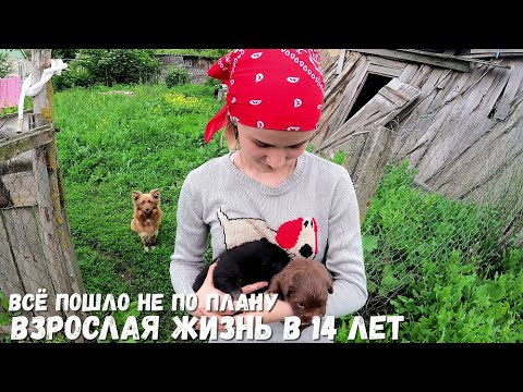 ВСЁ ПОШЛО НЕ ПО ПЛАНУ! ВЗРОСЛАЯ ЖИЗНЬ В 14 ЛЕТ! ОРЛОВЕЦ