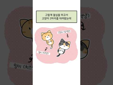 집사가 고양이들 사이를 반대한 이유