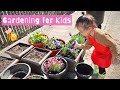 Gardening and Plant Care Concepts