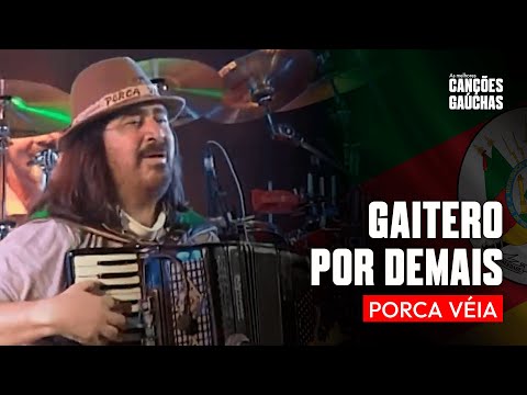 GAITERO POR DEMAIS - PORCA VÉIA