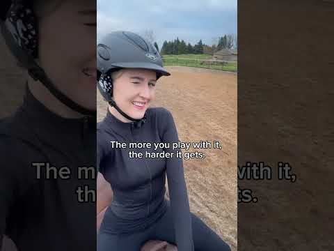 This Horse Joke Will Make You Laugh So Hard!