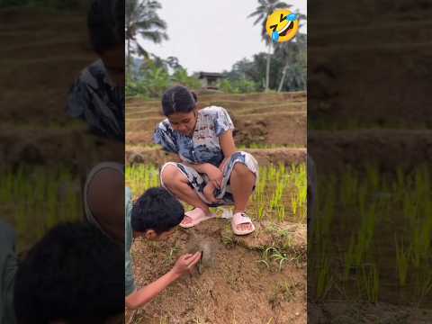 #TIMELASE: STAR TO FINISH ALONE BUILD LOG CABIN(WOODEN HOUSE) HOW TO BUILD WOODEN CABIN,SURVIVA😛😛🤫😆