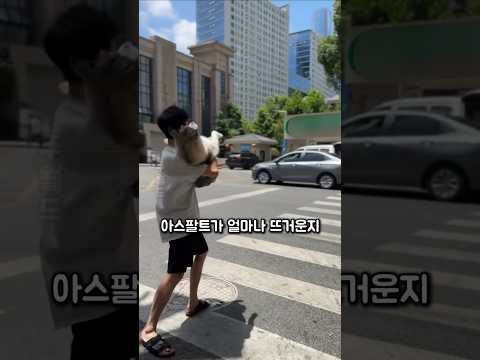한여름 뜨거운 바닥에서 강아지를 지키는 소년