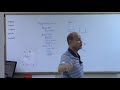 Skydiving Physics Concepts