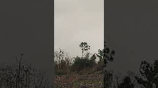 Bổi Én Cánh #n #minhzidane #cugay #lupcu