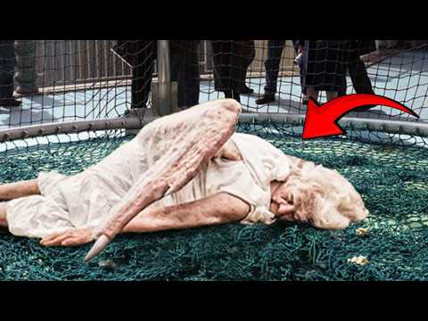 Interesting Animal Moments Caught on Camera!