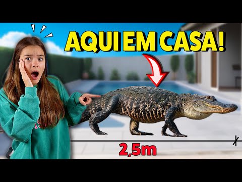 HOJE APARECEU UM JACARE DE 2,5m AQUI EM CASA!🐊