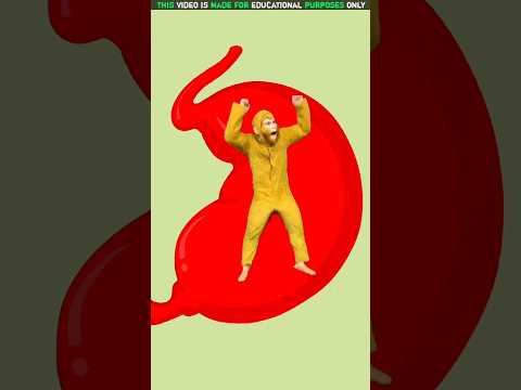 Monkey Chips Food✈️ 🐒| New Viral Gadgets, Smart Appliances, Kitchen Utensils/ Home Inventions