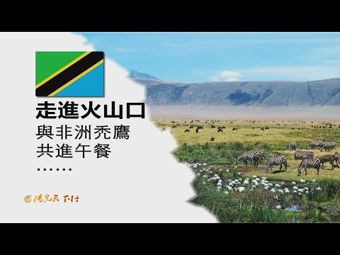陽光天下行 坦桑尼亞  恩戈罗恩戈罗  走進火山口  與非洲禿鷹共進午餐