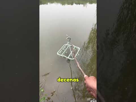 La trampa de pesca más absurda… y efectiva