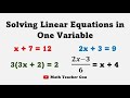Solving Linear Equations: Finding Solutions in One Variable