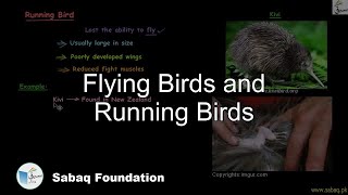 Flying Birds and Running Birds
