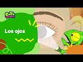 Camaleón y las Ciencias Naturales
