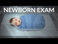 Newborn Assessment and Reflexes