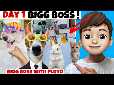 Big Boss With Animals 🤣 | Day 1 @Street_Dog_Pluto