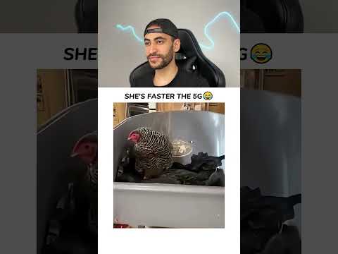 #manifestedit