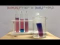 Exploring Le Chatelier's Principle with Cobalt Complex Ions