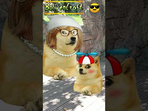 ROMENZO Y JULIDIOTA  XD 😎 HILO CHEEMS #hilosconcheems  #cheems #humor #hiloscondoge