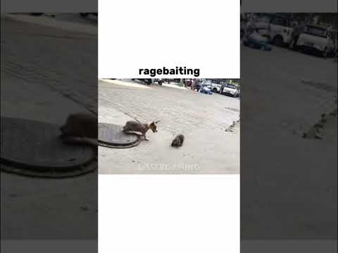 How Ragebaiting Works