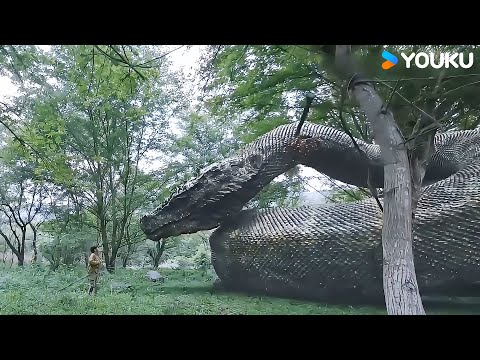 Oops, the big snake actually saved the little boy! | Snake 3 | YOUKU MONSTER MOVIE