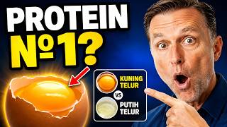 Telur Adalah Protein Terbaik? Fakta Kuning Telur & Kolesterol
