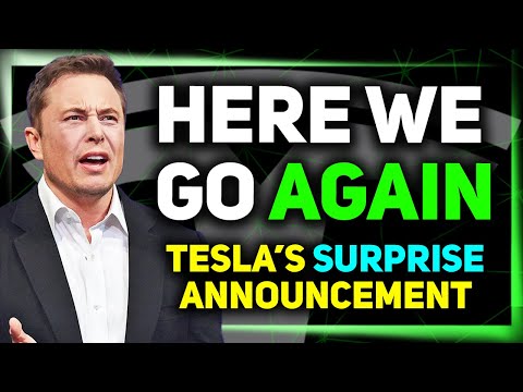 Elon on Removing Safety Monitors / Elon Is Not Happy / James Douma Talks Tesla AI ⚡️
