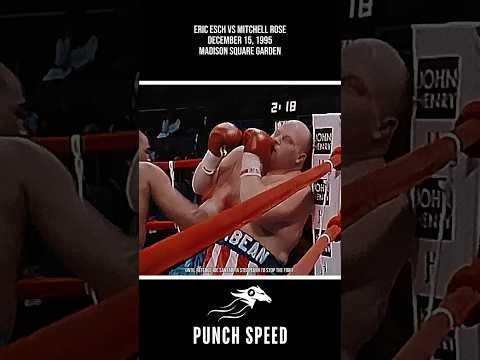 The Pinnacle of Mitchell Rose's Boxing Career