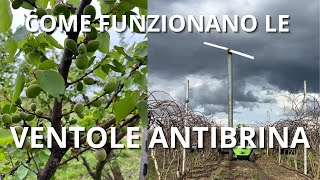 CERCHIAMO di SALVARE il RACCOLTO ❄️ - Parte 2