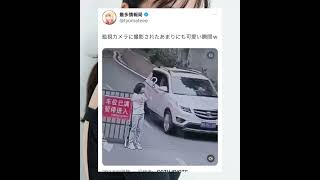 車運転してた人絶対惚れたやん #shorts #かわいい #おすすめ