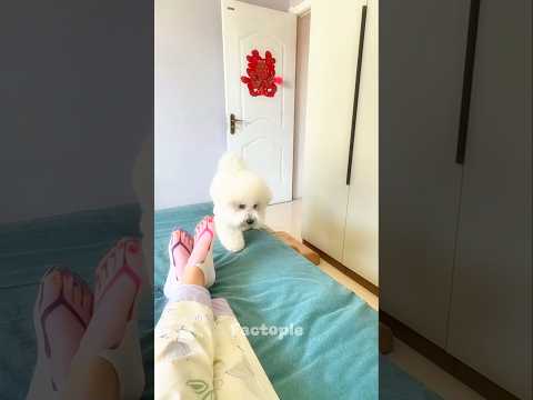 Sunday Gone Wrong for Cutie! 馃槀鉂わ笍 (漏uteesaranghae)