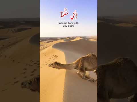 ‎قَالَ لَا  تَخَافَآۖ. إِنَّنِي مَعَكُمَآ  أَسۡمَعُ وَأَرَىٰ | #quran #soothingquran #lovequran