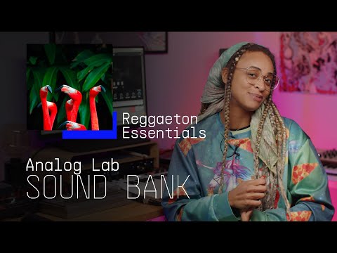 Track Breakdown | Analog Lab - Reggaeton Essentials