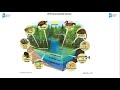 Aquatic Ecosystems and Their Dynamics