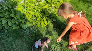 видео