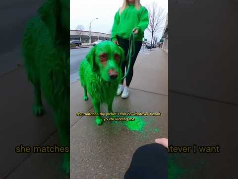 She Painted Her Dog Green To Match Her Jacket But Dog Is No More