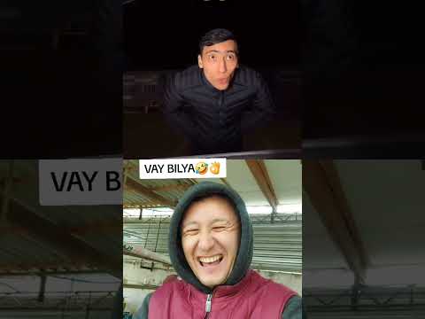 Куча боллари