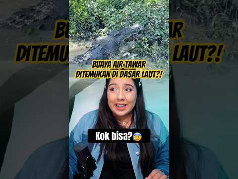 Seremnyaa... Kalo Buaya Darat yang ditaro di dasar laut, gimana ya nasibnya?