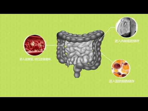 Product animation video Cover Image