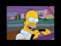 Homer Simpson Video Analysis