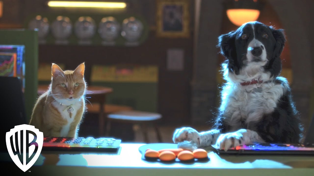 Cães e Gatos 3: Patas Unidas! miniatura do trailer