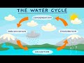 Understanding the Water Cycle