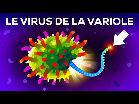 Le (deuxième) virus le plus mortel