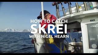 Lofoten Fishing - How to catch Skrei (big Cod) with Nigel