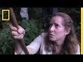 Gorilla Behavior and Conservation Facts