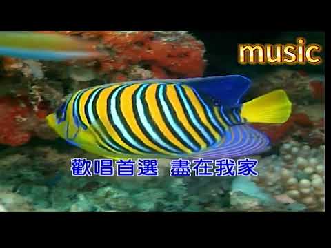 你像一陣雨~客語KTV 伴奏 no vocal 無人聲 music 純音樂 karaoke 卡拉OK 伴唱你像一陣雨~客語