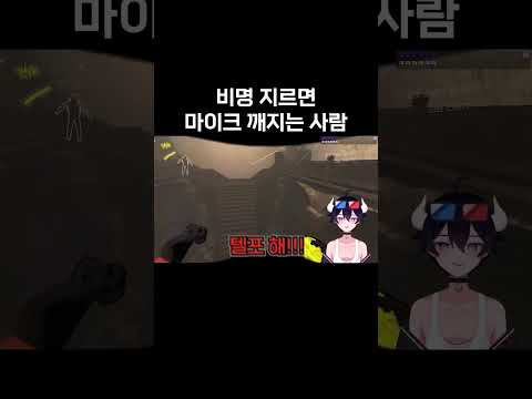 리썰 컴퍼니 제스터의 최대 속도를 봤습니다