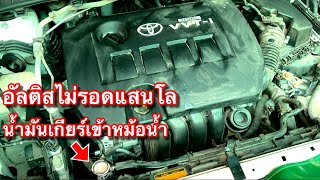 ขับอัลติสต้องระวัง ไม่รอดแสนโล เครื่องเกือบพังน้ำมันเกียร์เข้าหม้อน้ำ EP.635